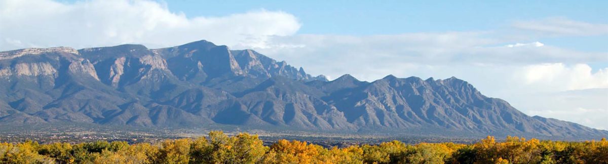 new mexico accounting and bookkeeping services sandia mountian  photo